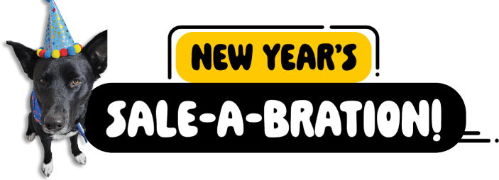 New Year's sale-a-bration!